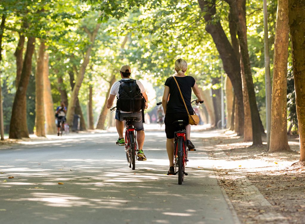 Boutique de vélo Reims : VTT, VAE, Ville, Cargo, Route, Gravel, VTC, Enfants, Occasions